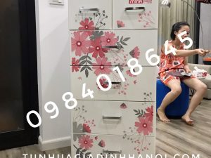 TỦ NHỰA MINA DUY TÂN HOA CÚC XÁM