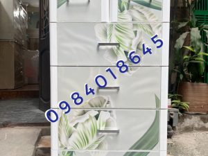 TỦ NHỰA DUY TÂN HOA TULIP TABI L