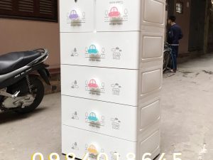 TỦ NHỰA MINA L DUY TÂN