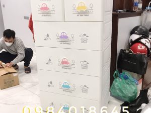 TỦ MINA L DUY TÂN - TỦ NHỰA DUY TÂN CHÍNH HÃNG